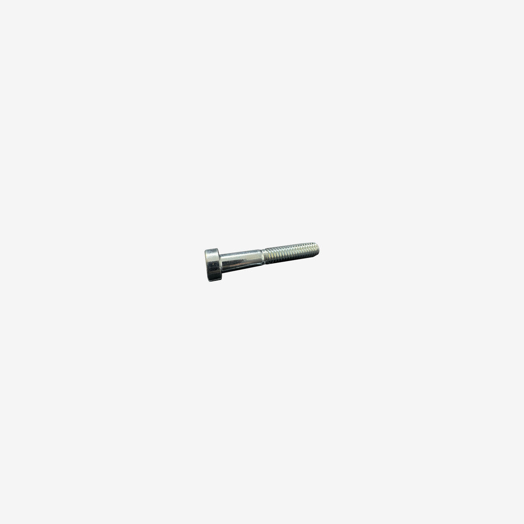 M4x25 Bolt