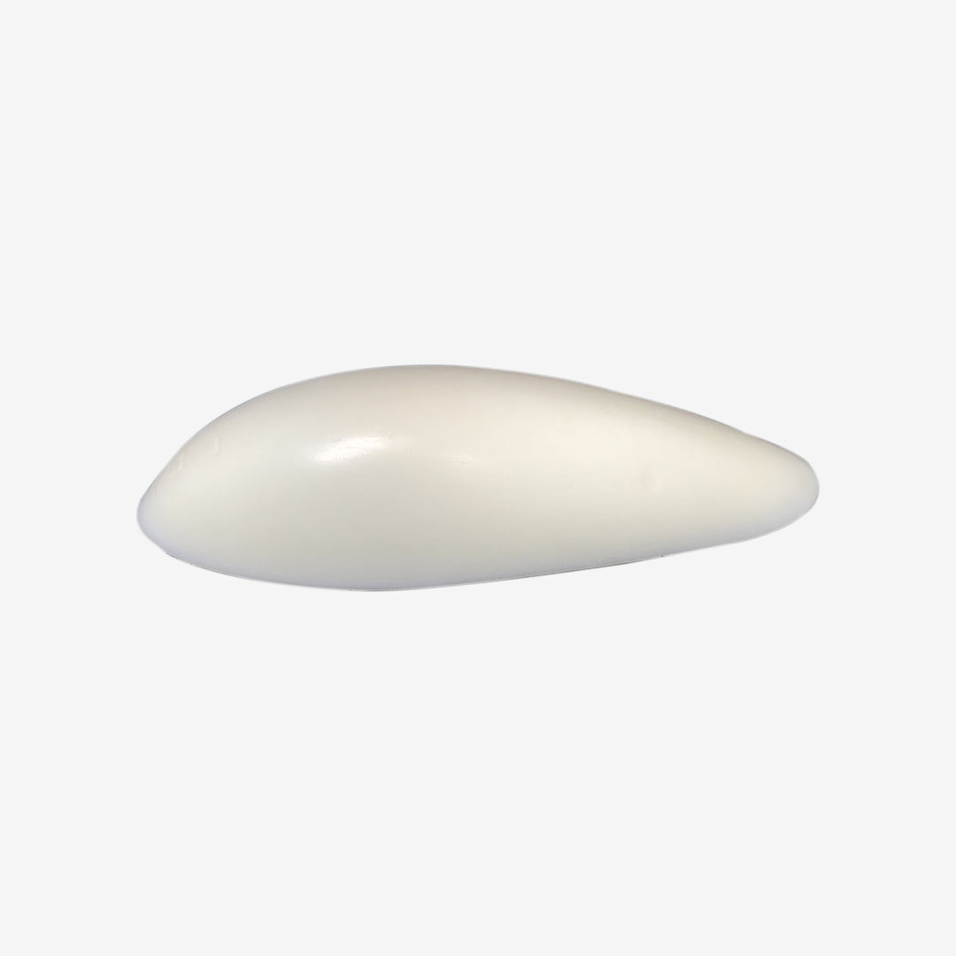 Wing Skid for Outer Wing/Winglet